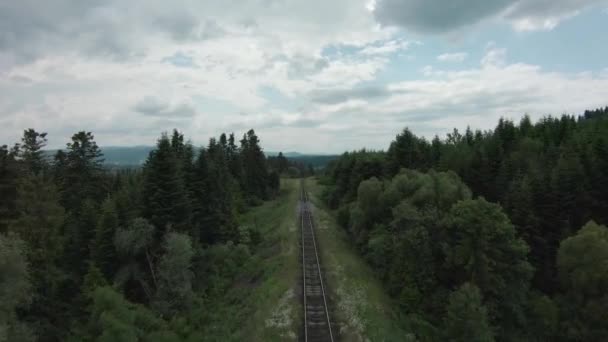 Беспилотник FPV быстро летит по железнодорожным путям, окруженным сосновым лесом — стоковое видео