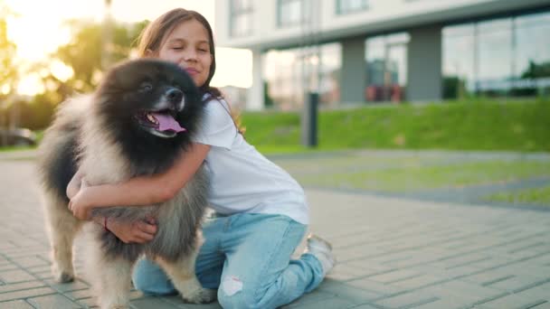 Η μελαχρινή αγκαλιάζει ένα χνουδωτό σκυλί στο ηλιοβασίλεμα. Αργή κίνηση — Αρχείο Βίντεο