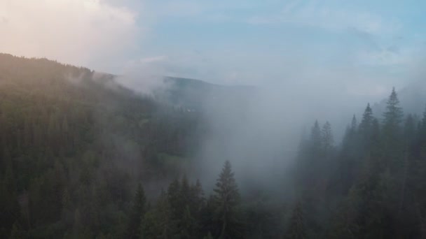 Vuelo sobre montañas cubiertas de bosque de coníferas. Niebla se eleva sobre las laderas de la montaña — Vídeos de Stock