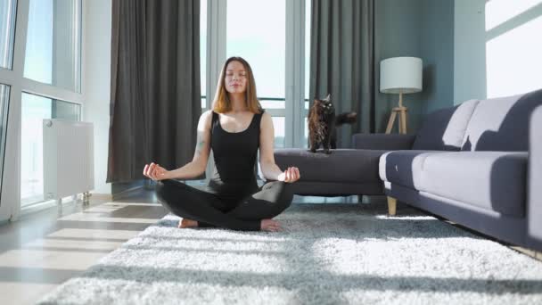 Junge kaukasische Frau im schwarzen Overall sitzt in Lotusposition und meditiert, Yoga zu Hause. Schwarze Katze läuft herum. Zeitlupe — Stockvideo