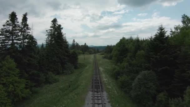 FPV drón repül gyorsan végig a vasúti sínek körül fenyőerdő — Stock videók