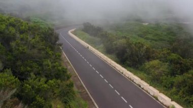 Yeşil bitki örtüsü ve sisle çevrili bir dağ yoluna tırman. Kırmızı araba yolda gidiyor.