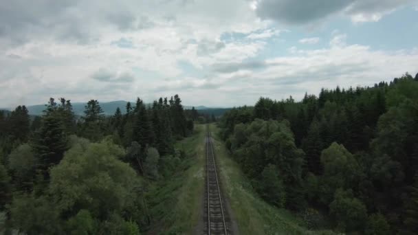 FPV drone vola rapidamente lungo i binari ferroviari circondati da pineta — Video Stock