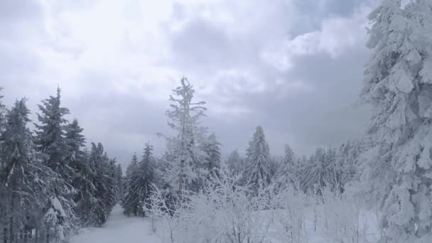 Luchtfoto van een prachtig winterlandschap van dichtbij. Soepele vlucht tussen besneeuwde bomen. Gefilmd op FPV drone. — Stockvideo