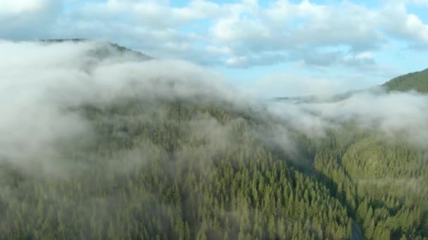 Vlucht over bergen bedekt met naaldbos. Mist stijgt over de berghellingen — Stockvideo