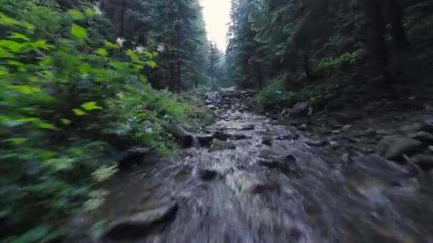 平稳、快速地飞越靠近水的山河，在茂密的森林中。神秘的山景。在FPV无人机上拍摄. — 图库视频影像