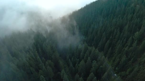 Letecký pohled na cestu mezi horami pokrytou jehličnatým lesem. Záhadná horská krajina, les je zahalen mlhou. — Stock video
