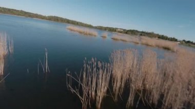 Sazlıklarla gölün üzerinde hızlı ve çevik bir uçuş. FPV insansız hava aracı ile çekildi