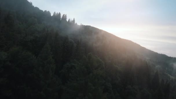 Mystical mountain landscape. Flying over the mountains in the fog, among the huge firs. Sunset light streaming through the mist. Ukraine, Carpathian Mountains — Stock Video