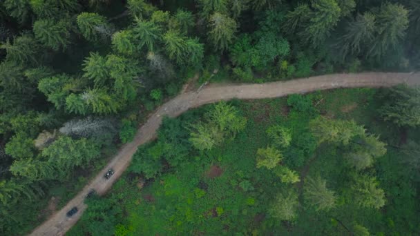 Letecký pohled na ATV tým projíždějící lesem v horách — Stock video