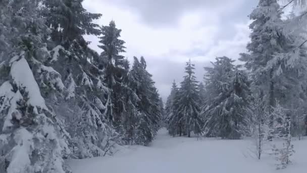 Légi kilátás egy mesés téli hegyi táj közelről. Sima repülés a havas fák között. FPV drónnal filmezve. — Stock videók