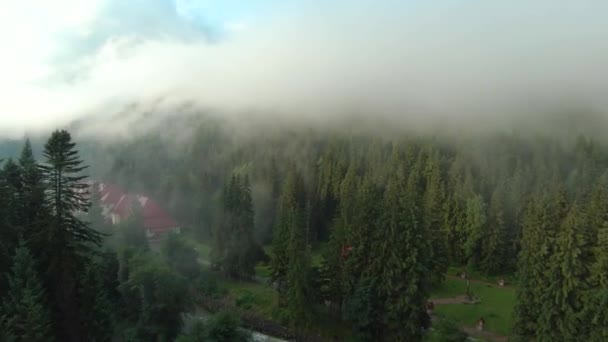 Vlucht over een bergresort tussen het naaldbos. Mist stijgt over de berghellingen — Stockvideo