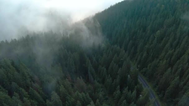 Luchtfoto van auto 's langs de weg in de bergen tussen het naaldbos. Mysterieus berglandschap, het bos is gehuld in mist. — Stockvideo