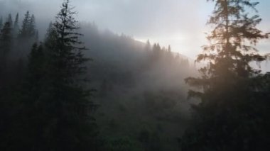 Mistik dağ manzarası. Büyük fırtınaların arasında, sisin içinde dağların üzerinden uçuyor. Sisin içinden gün batımı ışığı yayılıyor. Ukrayna, Karpat Dağları