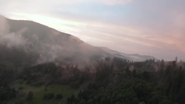 Manövrierbarer Flug über mit Nadelwald bewachsene Berge. Über den Berghängen steigt Nebel auf. Ukraine, Karpaten — Stockvideo