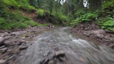 Yoğun bir ormanın içinde, suya yakın bir dağ nehrinin üzerinden pürüzsüz, hızlı bir uçuş. Mistik dağ manzarası. FPV insansız hava aracı ile çekildi.