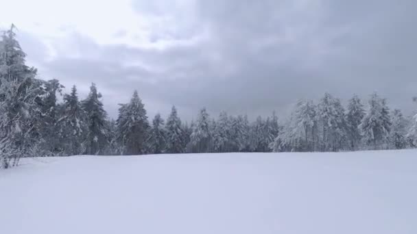 Letecký pohled na pohádkovou zimní horskou krajinu zblízka. Hladký let mezi zasněženými stromy. Ukrajina, Karpaty. Natočeno na FPV drone. — Stock video