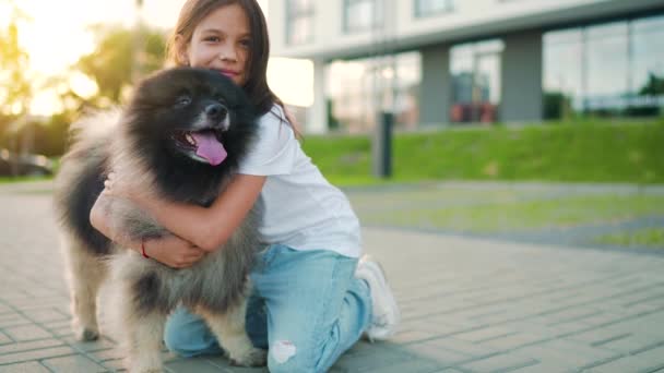 Morena menina abraça um cão fofo ao pôr do sol ao ar livre. Movimento lento — Vídeo de Stock