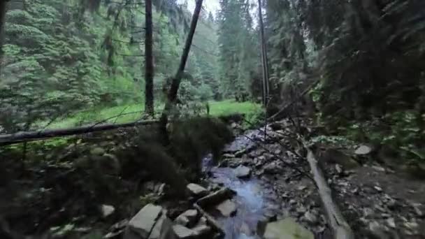 平稳、快速地飞越靠近水的山河，在茂密的森林中。神秘的山景。在FPV无人机上拍摄. — 图库视频影像