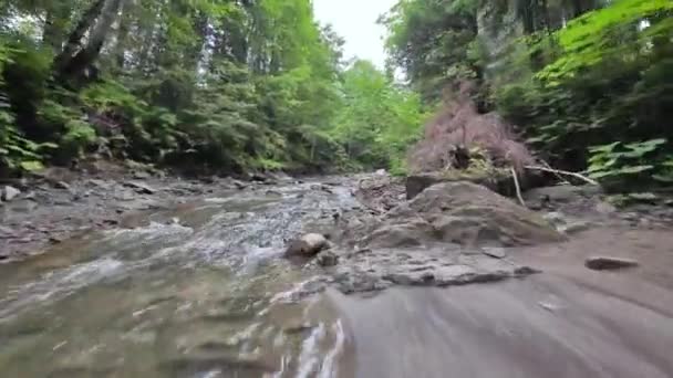 平稳、快速地飞越靠近水的山河，在茂密的森林中。神秘的山景。在FPV无人机上拍摄. — 图库视频影像