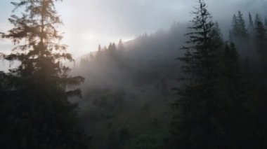 Mistik dağ manzarası. Büyük fırtınaların arasında, sisin içinde dağların üzerinden uçuyor. Sisin içinden gün batımı ışığı yayılıyor. Ukrayna, Karpat Dağları