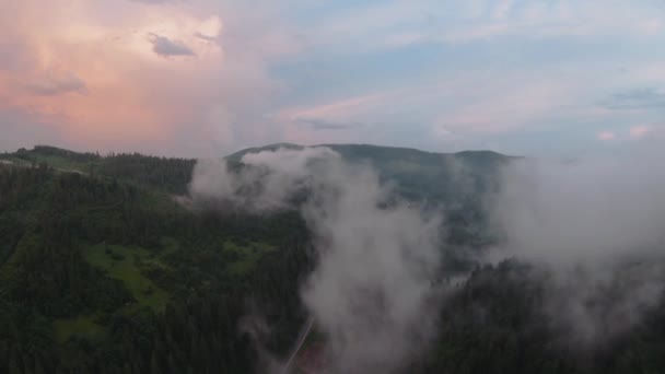 Volo sopra una località montana tra la foresta di conifere. Nebbia sorge sopra i pendii della montagna — Video Stock