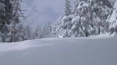 Muhteşem bir kış dağ manzarasının havadan görünüşü. Karla kaplı ağaçlar arasında pürüzsüz bir uçuş. Ukrayna, Karpat Dağları. FPV insansız hava aracı ile çekildi.