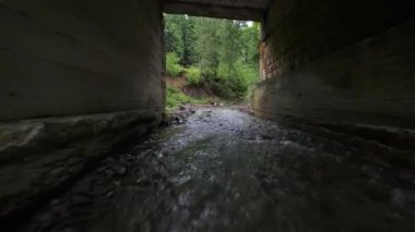 Yoğun bir ormanın içinde, suya yakın bir dağ nehrinin üzerinden pürüzsüz, hızlı bir uçuş. Mistik dağ manzarası. FPV insansız hava aracı ile çekildi.