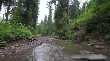 Yoğun bir ormanın içinde, suya yakın bir dağ nehrinin üzerinden pürüzsüz, hızlı bir uçuş. Mistik dağ manzarası. FPV insansız hava aracı ile çekildi.