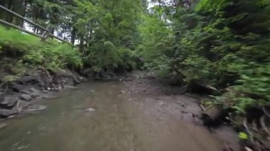 Yoğun bir ormanın içinde, suya yakın bir dağ nehrinin üzerinden pürüzsüz, hızlı bir uçuş. Mistik dağ manzarası. FPV insansız hava aracı ile çekildi.