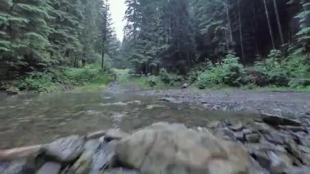 平稳、快速地飞越靠近水的山河，在茂密的森林中。神秘的山景。在FPV无人机上拍摄. — 图库视频影像