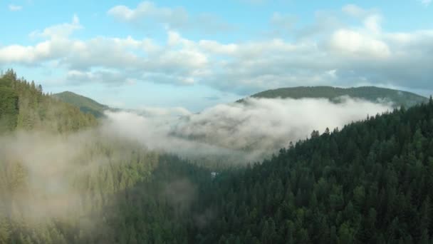 Voo sobre montanhas cobertas de floresta de coníferas. Névoa sobe sobre as encostas da montanha ao pôr do sol — Vídeo de Stock