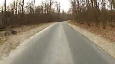 orman yolu sürüş
