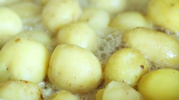 Potatoes fried in oil — Stock Video