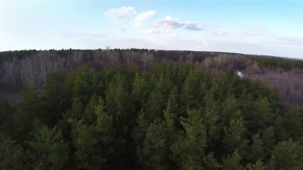 Aerial shot flight above the green forest — Stock Video