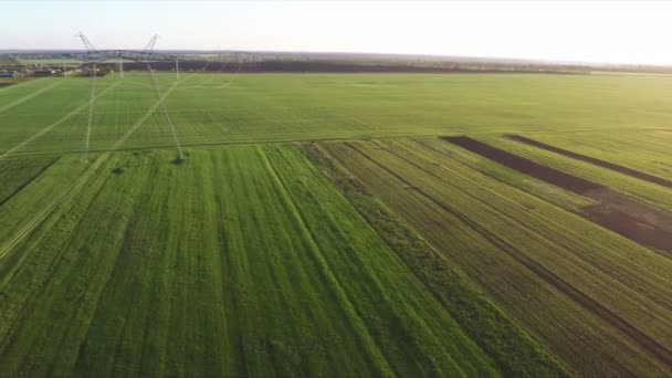 Survoler la ligne électrique au coucher du soleil — Video