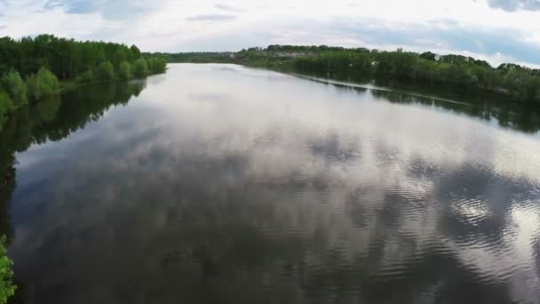 Survoler le lac calme et les arbres verts 