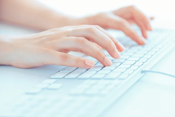 Female woman office worker typing on the keyboard — Stock Photo, Image