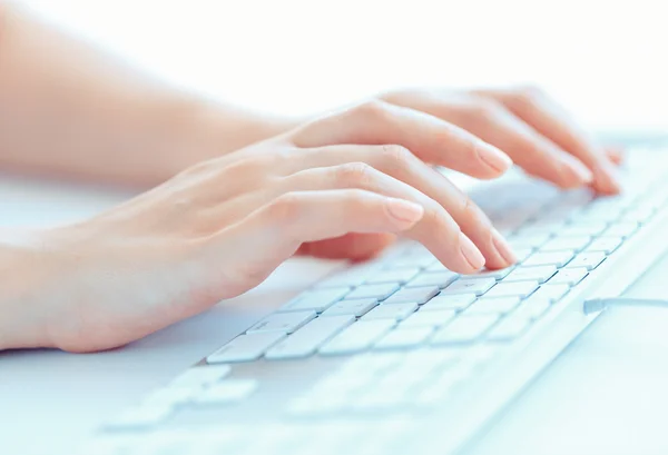 Female woman office worker typing on the keyboard — Stock Photo, Image