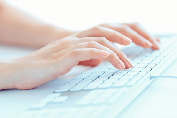 Manos femeninas o trabajadora de oficina escribiendo en el teclado —  Fotos de Stock