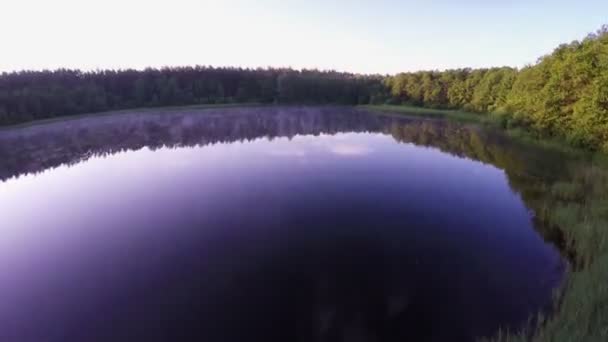 Latające nad jezioro spokojne i zielone drzewa — Wideo stockowe