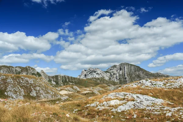 Pegunungan di Taman Nasional Durmitor di Montenegro, Balkan . — Stok Foto