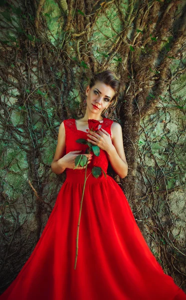 Mulher bonita em um vestido vermelho com uma rosa na mão no fundo — Fotografia de Stock