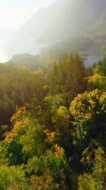 Kanada 'da göz kamaştırıcı sonbahar manzarası. Dağ yamaçlarındaki renkli ormanın havadan görünüşü ve Harrison Gölü, British Columbia. FPV insansız hava aracı tarafından çekildi.