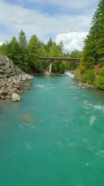 FPV insansız hava aracı nehrin üzerinden nehre yakın akıntılarla uçuyor. Etrafı çam ormanlarıyla çevrili. Whistler, British Columbia, Kanada yakınlarında çekilmiş..