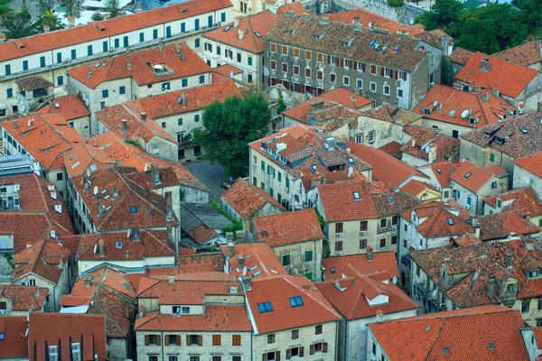 Vedere cu ochii păsărilor a clădirilor din orașul vechi Kotor, Muntenegru — Fotografie, imagine de stoc