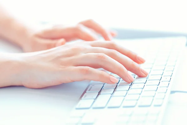 Female hands or woman office worker typing on the keyboard — Stock Photo, Image