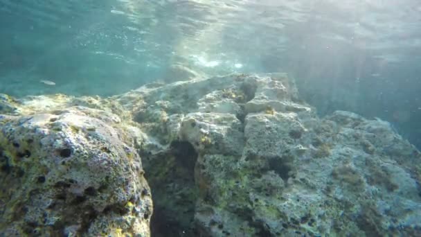 Tournage de plongées sous-marines au Monténégro — Video