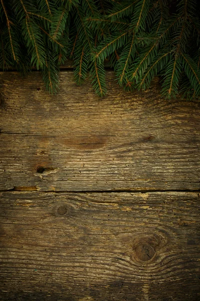 나무 질감에 크리스마스 나무 가지 — 스톡 사진