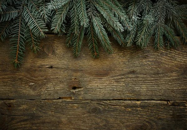 Christmas tree förgrena sig på trä textur — Stockfoto